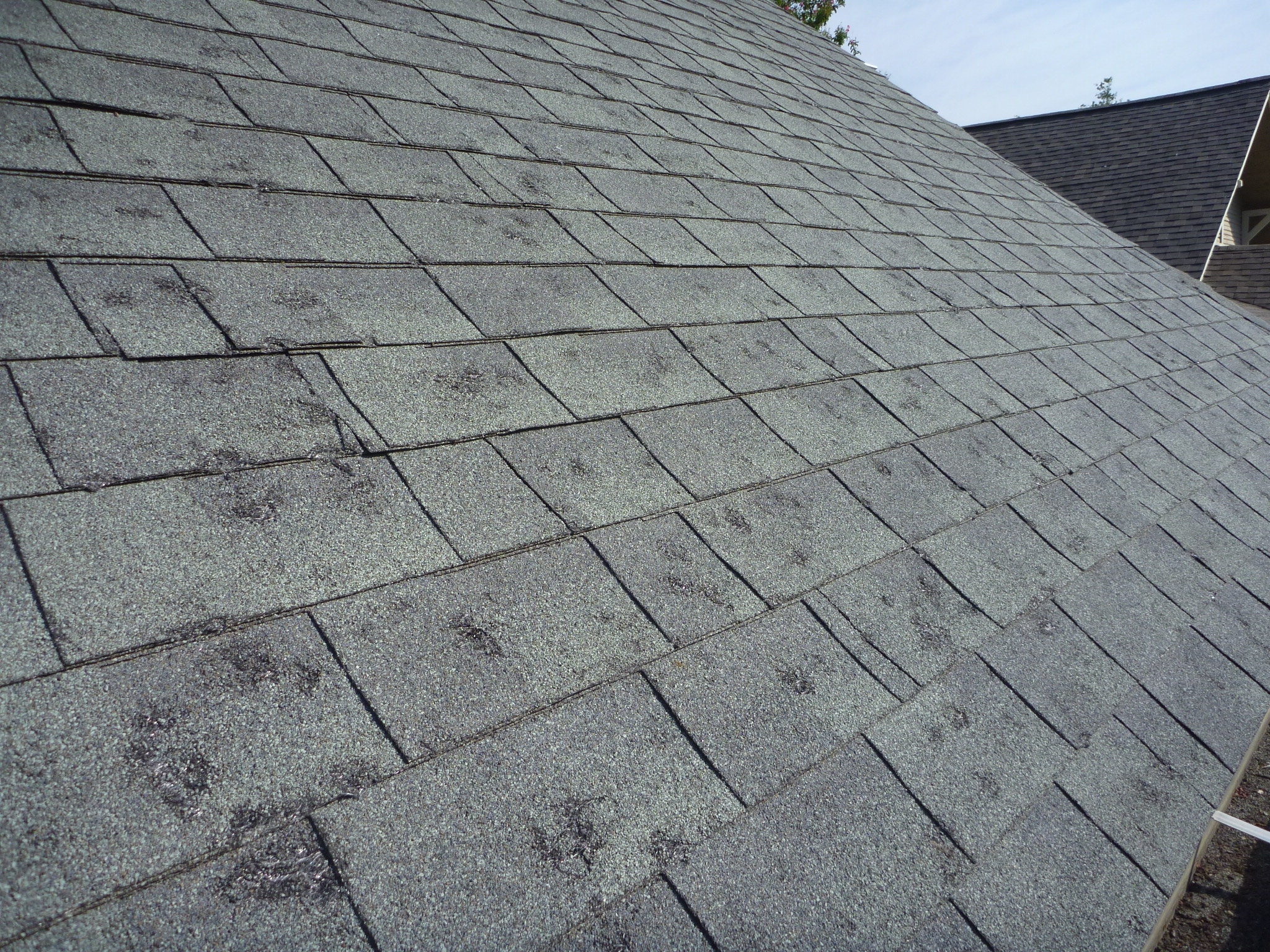 Brand new quality roof